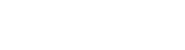 DSGN — Dae Shin Global Networks
