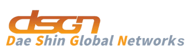 DSGN — Dae Shin Global Networks